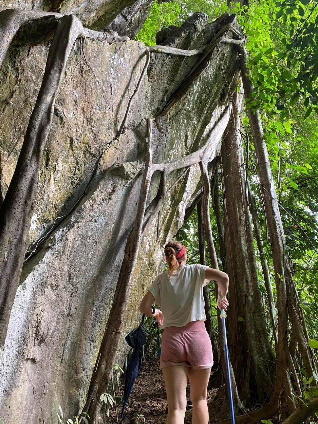 Klongsaeng Framstay Campsite Ban Tha Khun